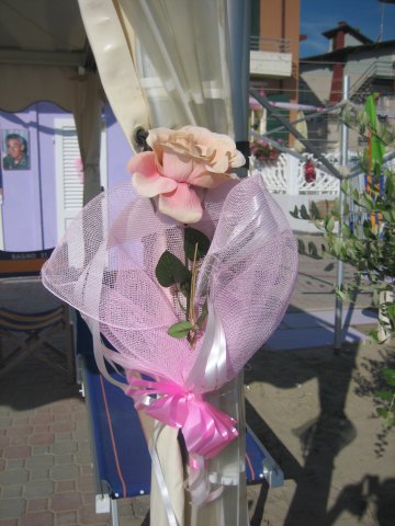 2011 003